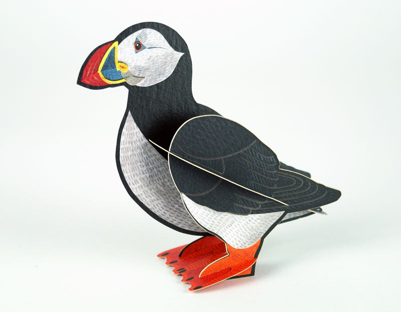 Pop-Out Puffin Card