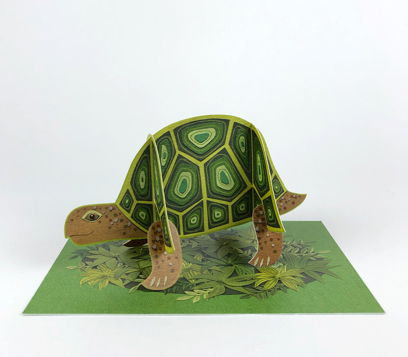 Pop -Out Tortoise Card