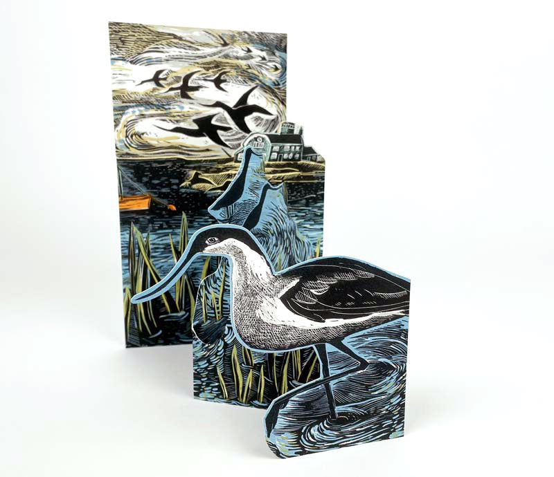 Avocet Fold Out Card